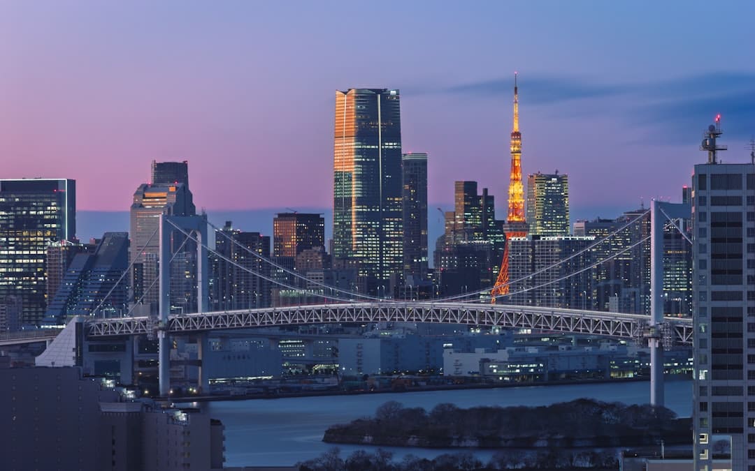 漂泊泡泡建立万元质量监督基金,发动公益项目助困童救漂泊动物